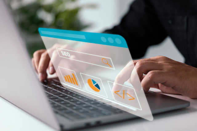 SEO Consultant