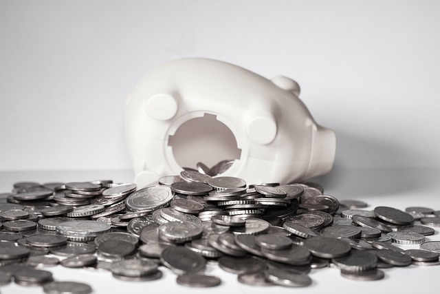 Piggy bank open